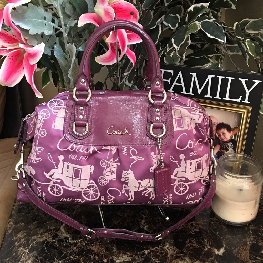 Coach Ashley Horse Carriage